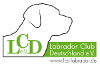 Logo_download-homepage_10x65 verkleinert 2