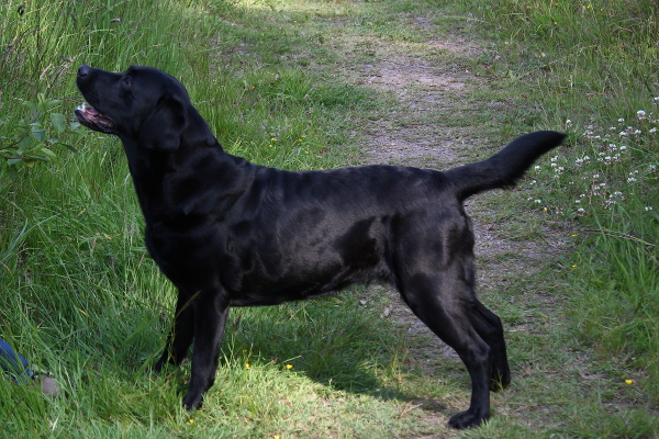 Rina fr HP 3. Tag 600x400_5332